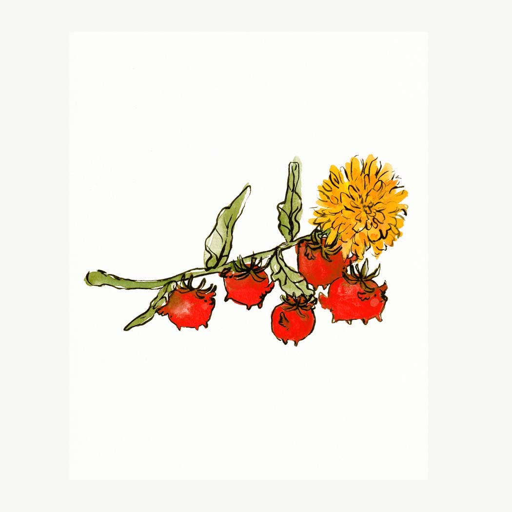Print - "Tomatoes & Dandelion"
