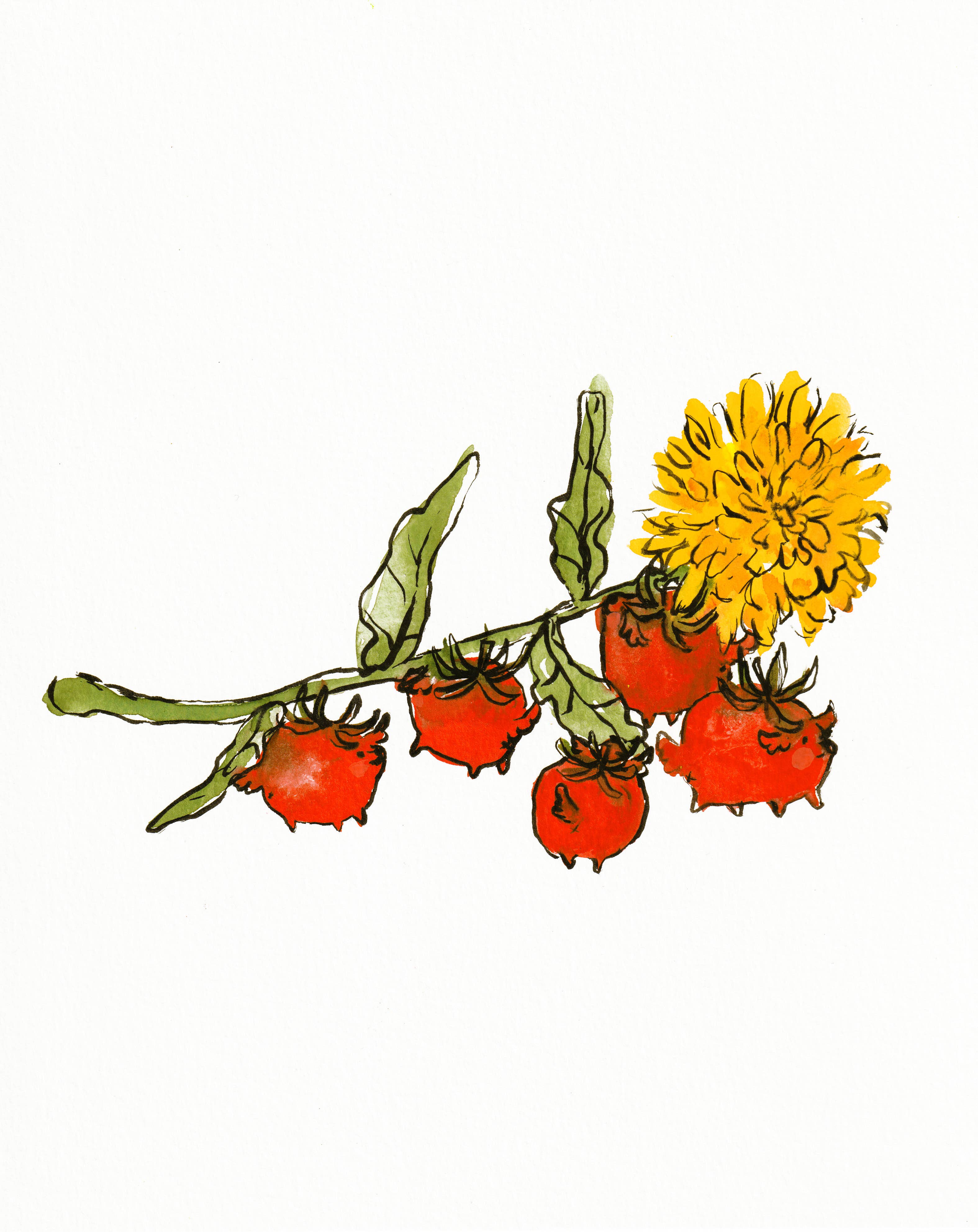 Print - "Tomatoes & Dandelion"