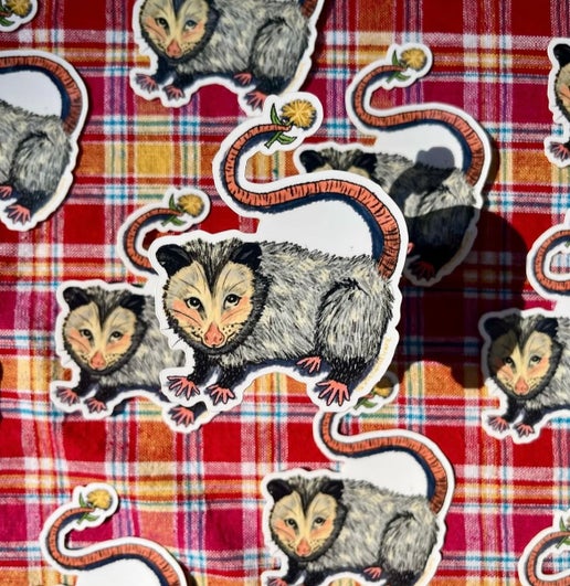 Dandy Possum Sticker