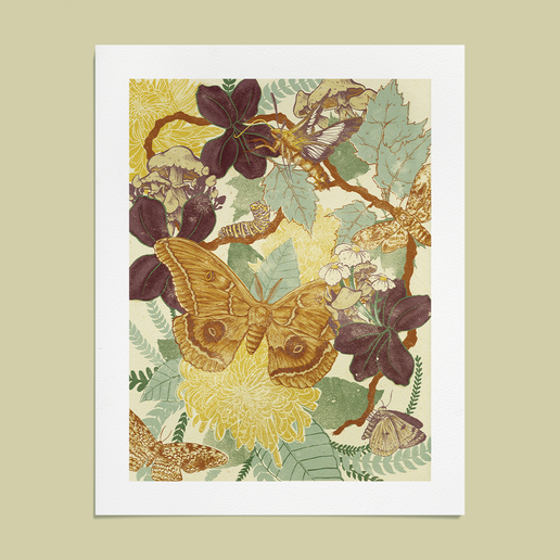 Moth Giclee Print 11x14"